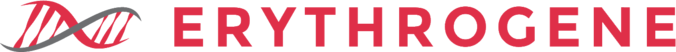 Ʈ